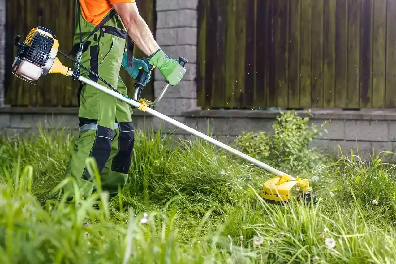 how to cut grass without a lawn mower