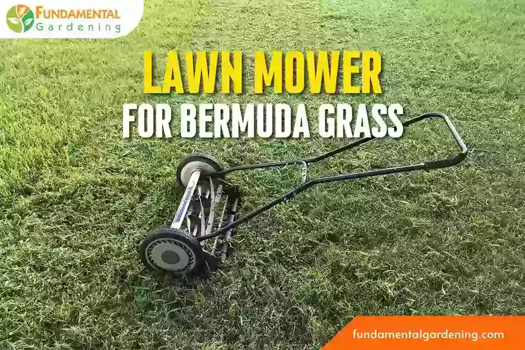 Best Lawn Mower for Bermuda Grass