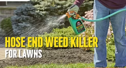 best hose end weed killer for lawns