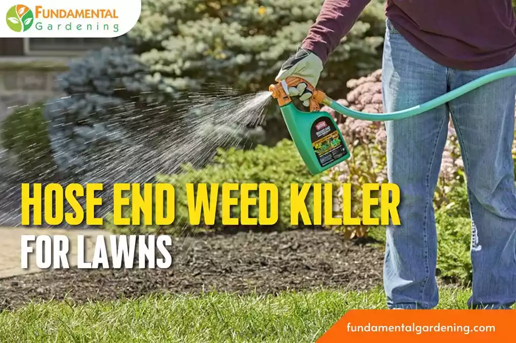 best hose end weed killer for lawns