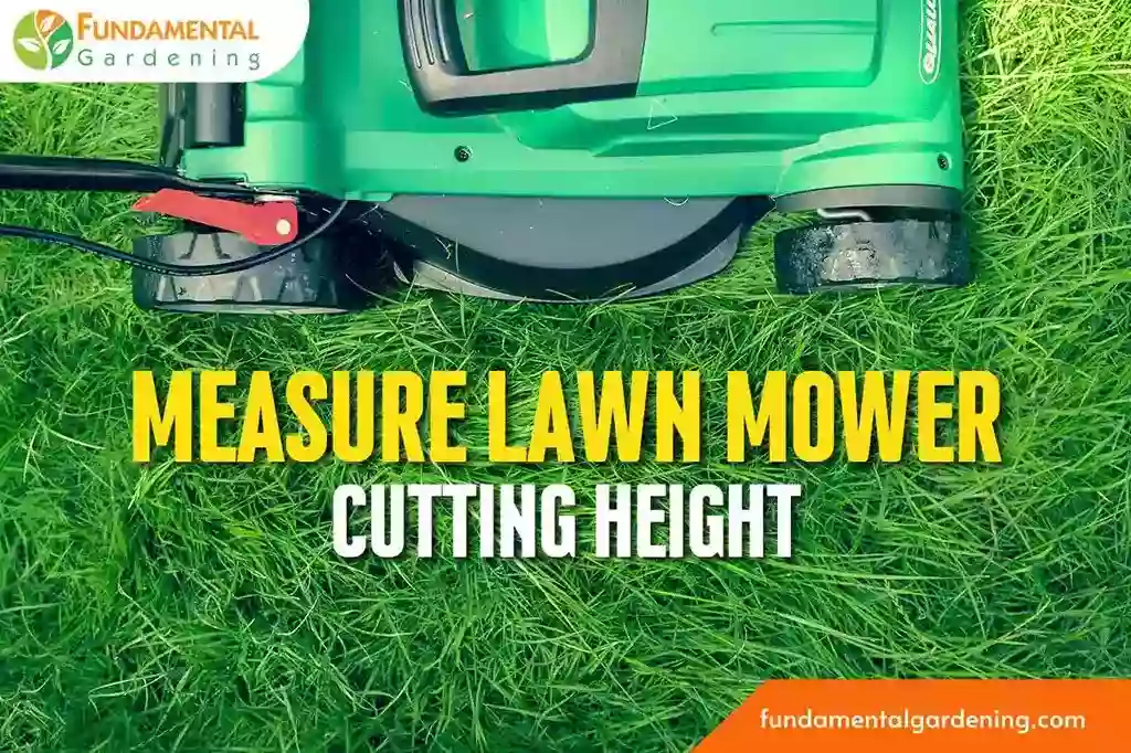 how to measure lawn mower cutting height