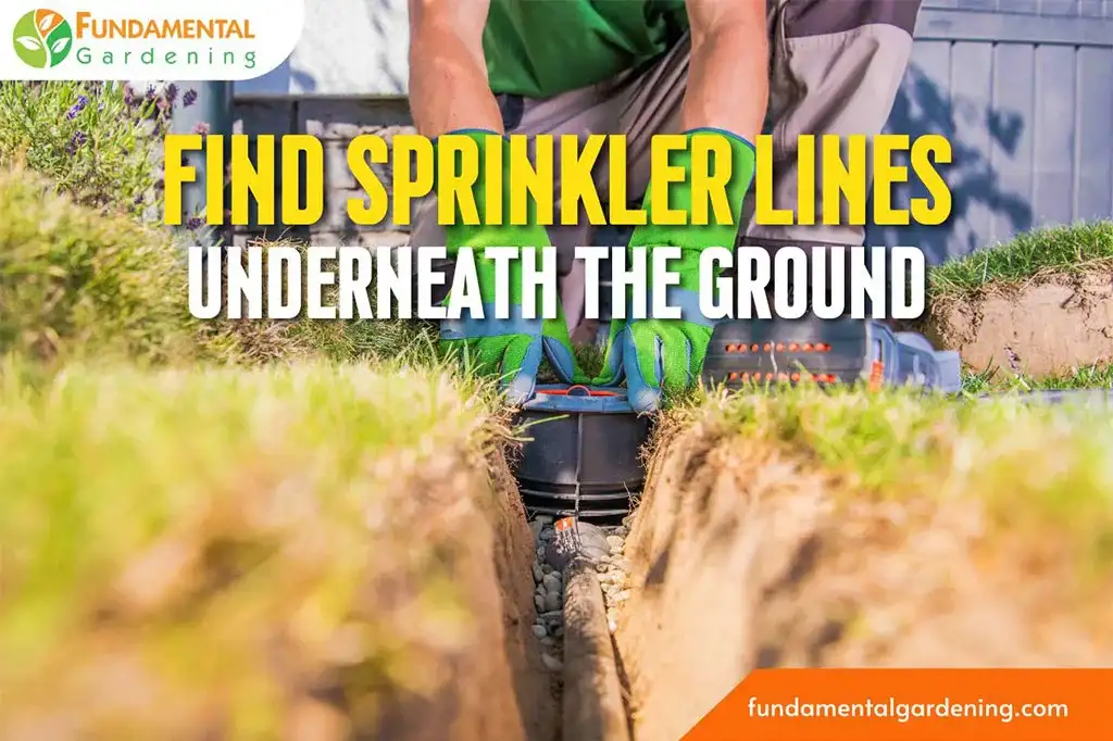 how to find sprinkler lines underground
