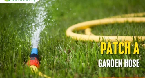 How to Patch a Garden Hose