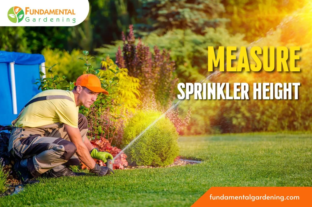 How To Measure Sprinkler Height